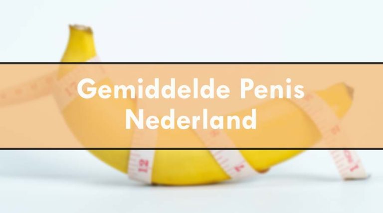 Gemiddelde Penis Nederland